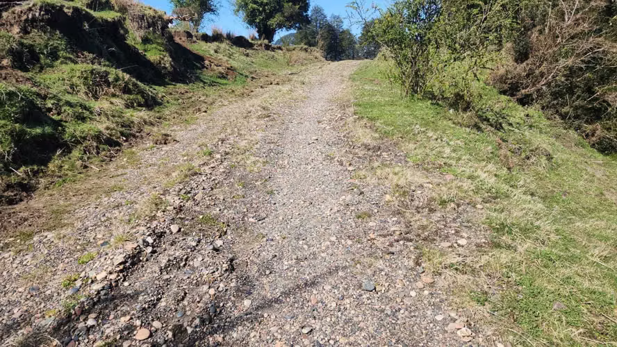 KM 20 AYSEN-LAGO RIESCO (76136)