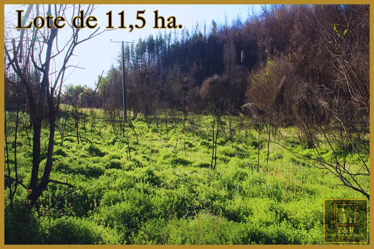 Se venden 2 terrenos  , de 1,6 ha. y 11,56 ha (76010)
