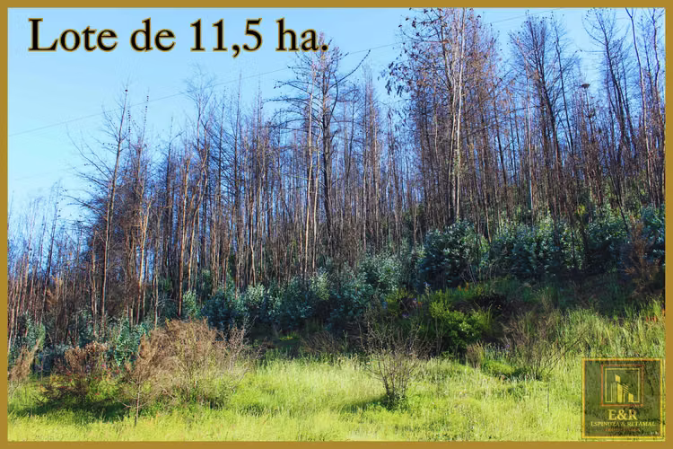 Se venden 2 terrenos  , de 1,6 ha. y 11,56 ha (76010)