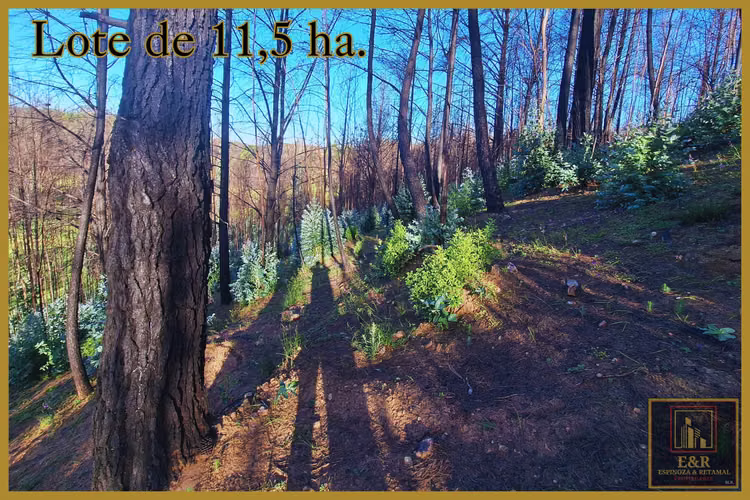 Se venden 2 terrenos  , de 1,6 ha. y 11,56 ha (76010)
