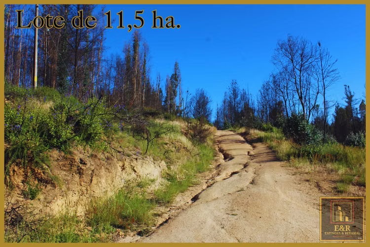 Se venden 2 terrenos  , de 1,6 ha. y 11,56 ha (76010)