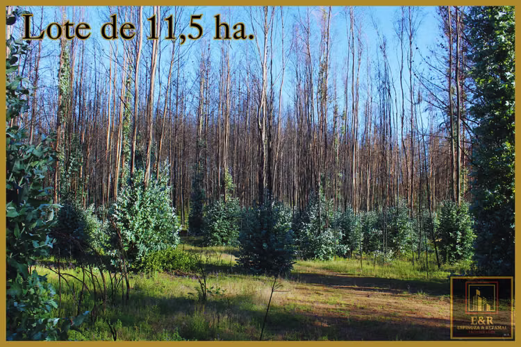Se venden 2 terrenos  , de 1,6 ha. y 11,56 ha (76010)