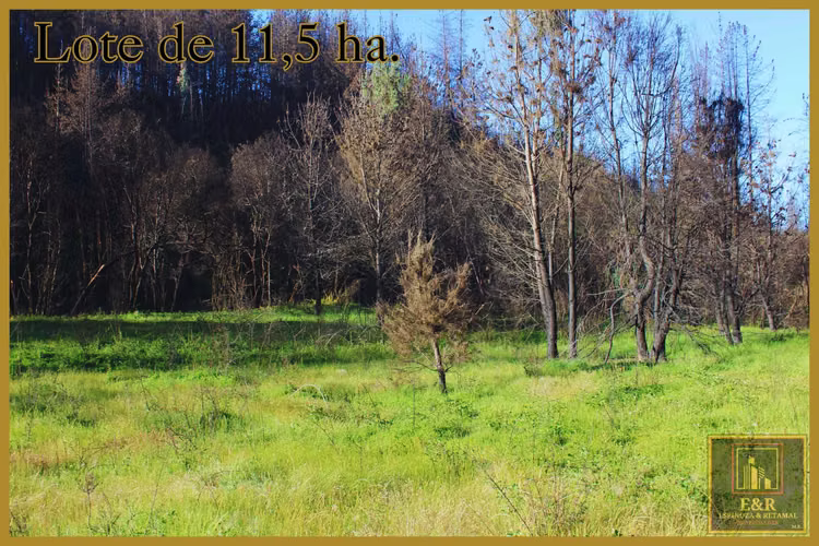 Se venden 2 terrenos  , de 1,6 ha. y 11,56 ha (76010)