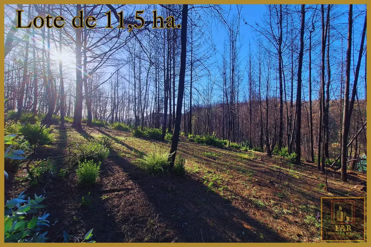 Se venden 2 terrenos  , de 1,6 ha. y 11,56 ha (76010)