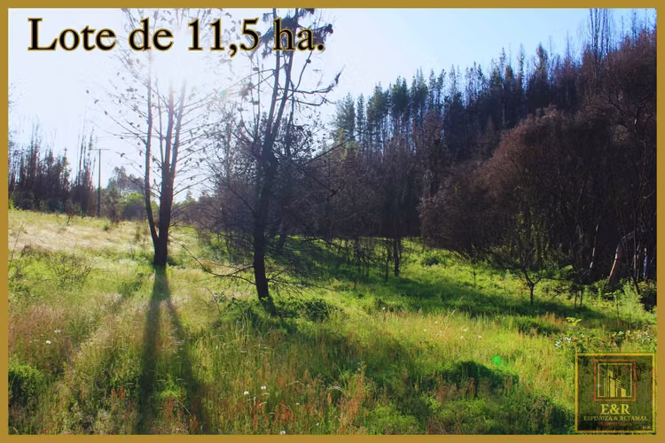Se venden 2 terrenos  , de 1,6 ha. y 11,56 ha (76010)