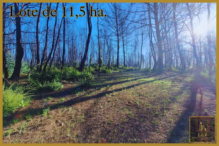 Se venden 2 terrenos  , de 1,6 ha. y 11,56 ha (76010)