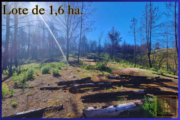 Se venden 2 terrenos  , de 1,6 ha. y 11,56 ha (76010)