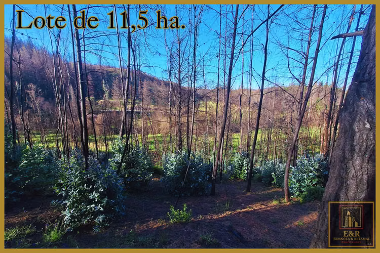 Se venden 2 terrenos  , de 1,6 ha. y 11,56 ha (76010)