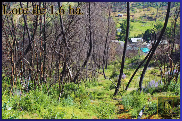 Se venden 2 terrenos  , de 1,6 ha. y 11,56 ha (76010)