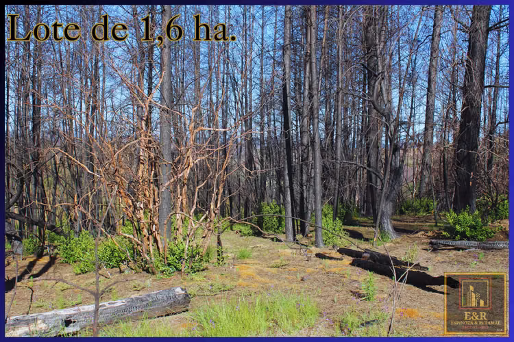Se venden 2 terrenos  , de 1,6 ha. y 11,56 ha (76010)