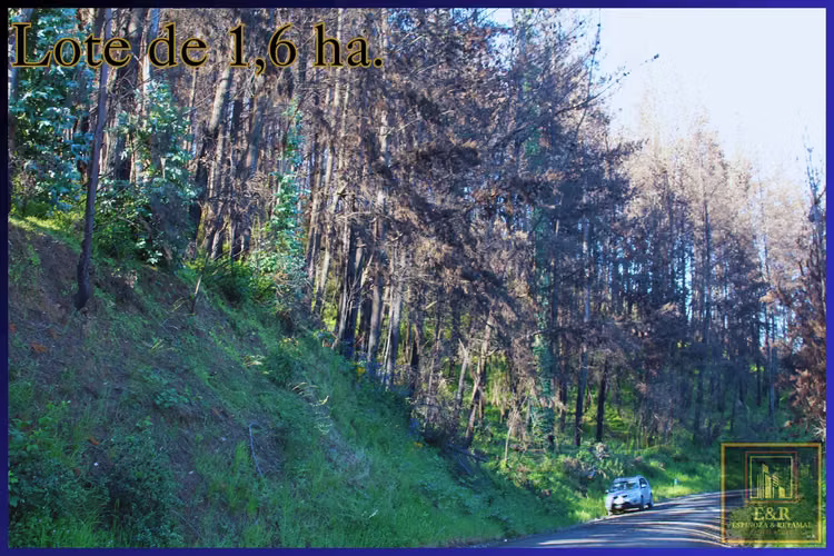 Se venden 2 terrenos  , de 1,6 ha. y 11,56 ha (76010)