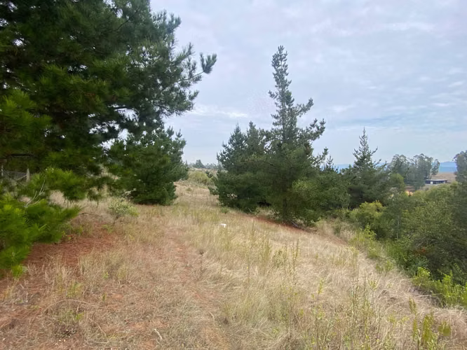 VENTA TERRENO EN AGUADA BUCALEMU (75987)