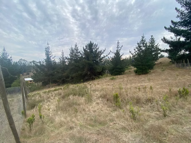 VENTA TERRENO EN AGUADA BUCALEMU (75987)