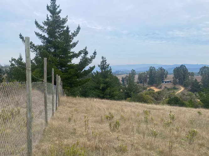 VENTA TERRENO EN AGUADA BUCALEMU (75987)