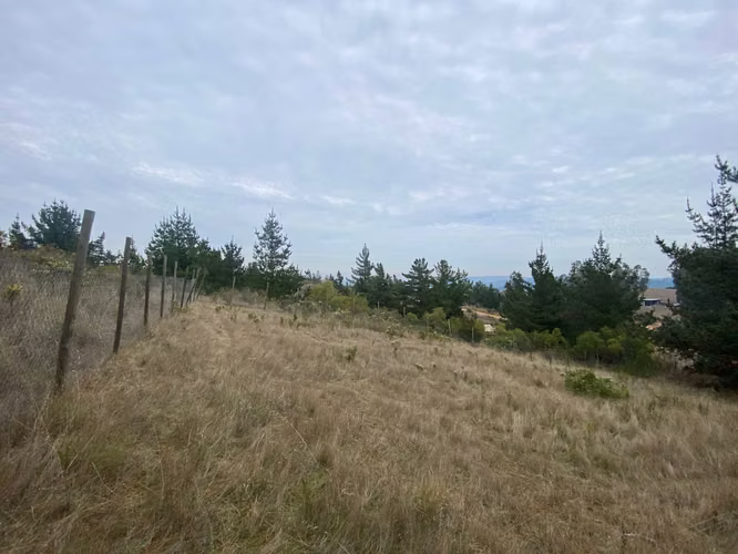 VENTA TERRENO EN AGUADA BUCALEMU (75987)