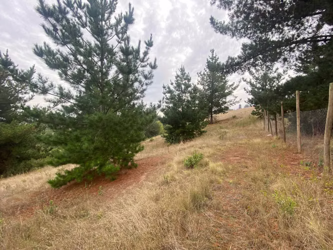 VENTA TERRENO EN AGUADA BUCALEMU (75987)