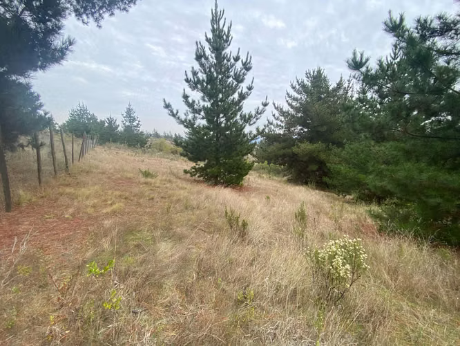 VENTA TERRENO EN AGUADA BUCALEMU (75987)