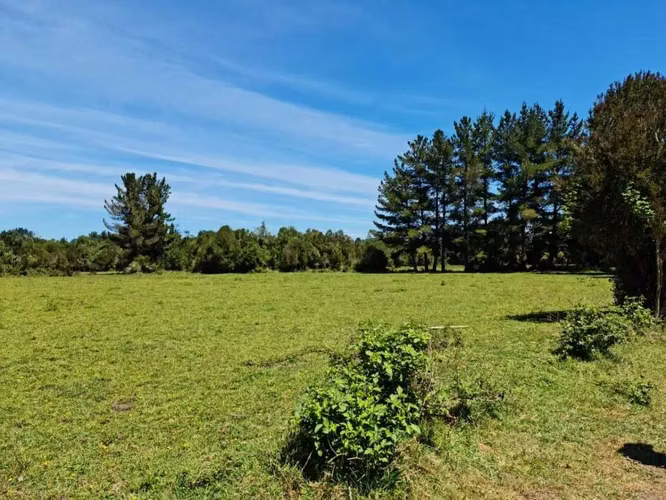 OFERTA OFERTA, PARCELAS,  PUERTO VARAS (75975)