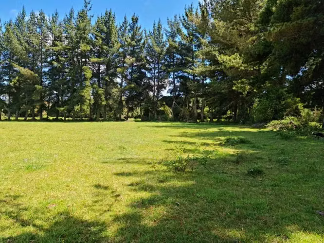 OFERTA OFERTA, PARCELAS,  PUERTO VARAS (75975) - Imagen 21