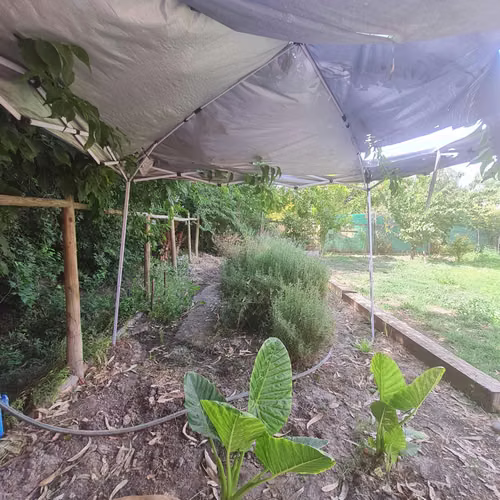 Excelente sitio con casa en venta AMOBLADA (75955) - Imagen 18