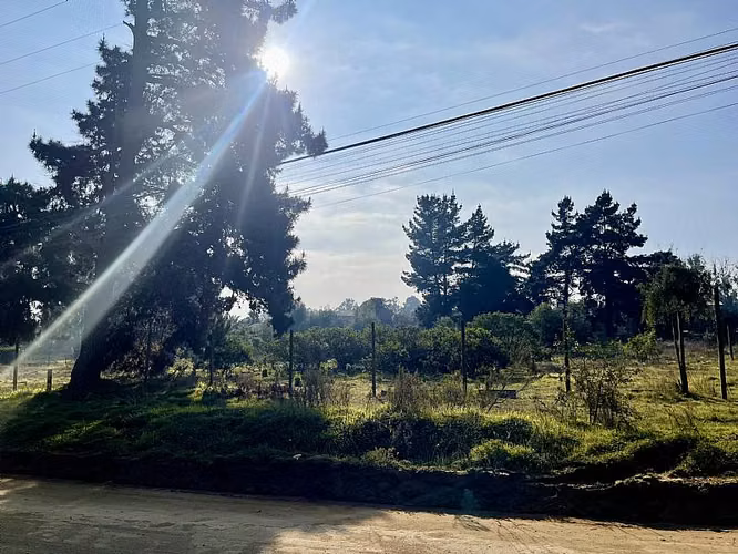HERMOSA PARCELA EN LOS PINOS DE REÑACA
