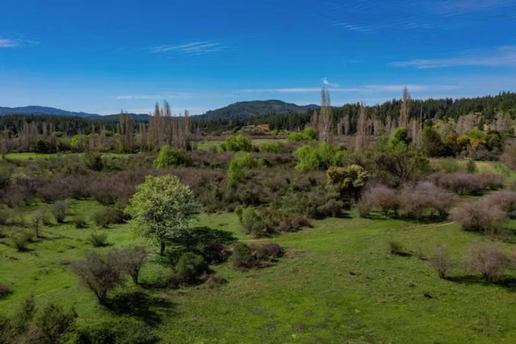Acogedor Hermoso y Excelente Oportunidad de Inversión Terreno en Cauquenes
