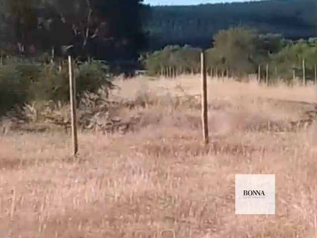 Parcela en Cauquenes