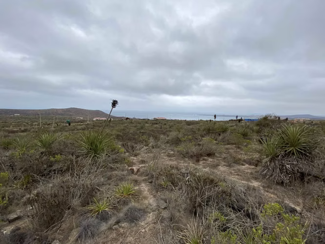 LOTEO CASCABELES AL MAR, UNA MARAVILLOSA CONEXIÓN CON LA NATURALEZA