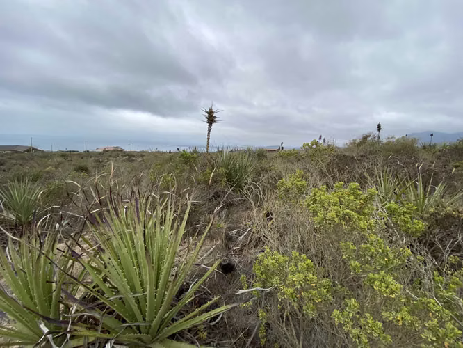 LOTEO CASCABELES AL MAR, UNA MARAVILLOSA CONEXIÓN CON LA NATURALEZA