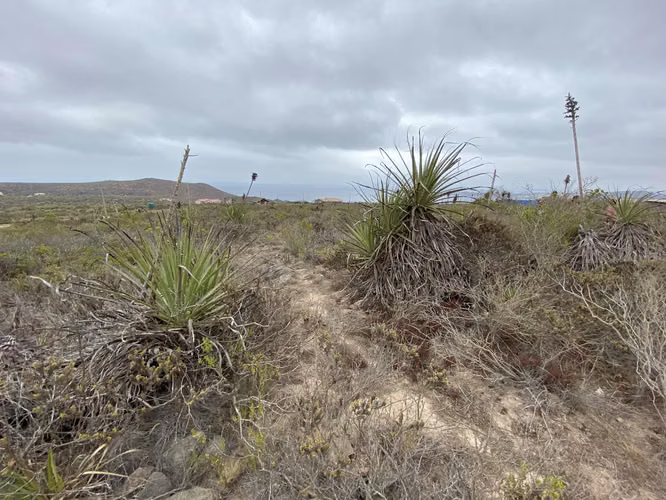LOTEO CASCABELES AL MAR, UNA MARAVILLOSA CONEXIÓN CON LA NATURALEZA