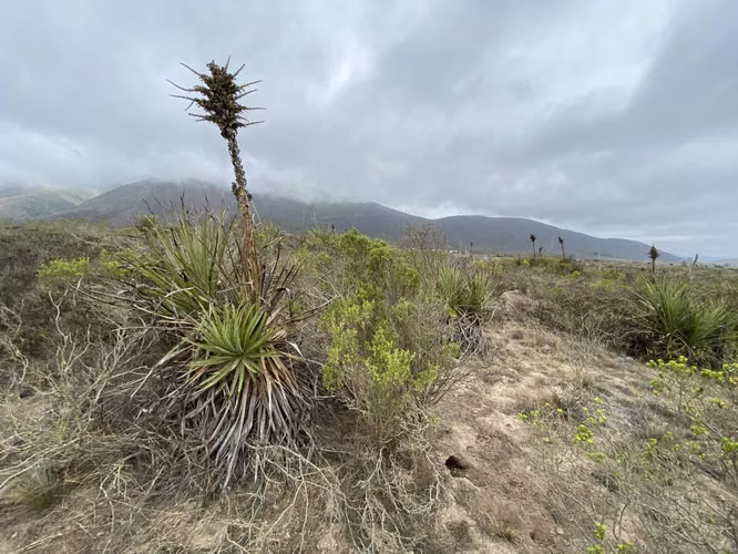 LOTEO CASCABELES AL MAR, UNA MARAVILLOSA CONEXIÓN CON LA NATURALEZA