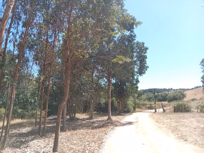 Parcela Sector Huinanco Bellavista 1 Yumbel