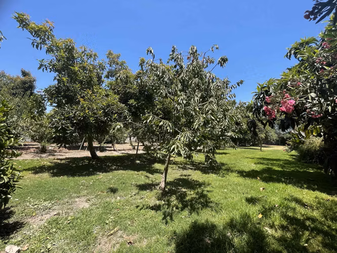 Preciosa y segura casa en Parcela Talagante