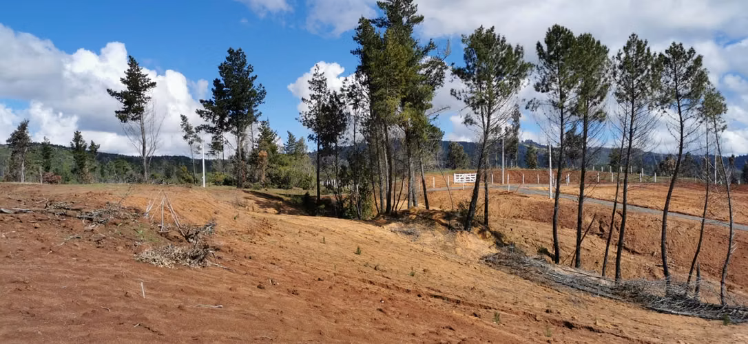 Vendo parcela sector Paso Hondo Yumbel