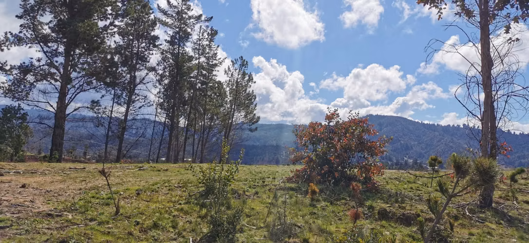 Vendo parcela sector Paso Hondo Yumbel