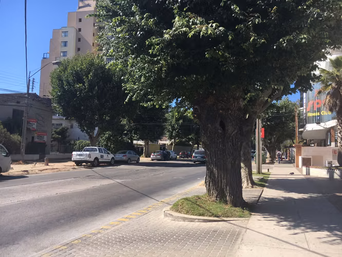 Amplia propiedad comercial en arriendo, 5 Oriente, Viña del Mar