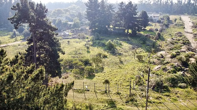 Parcela LOS PINOS DE REÑACA