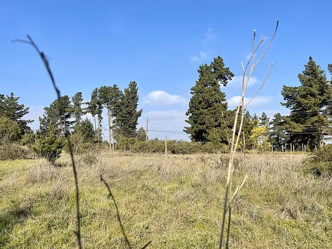 Parcela LOS PINOS DE REÑACA