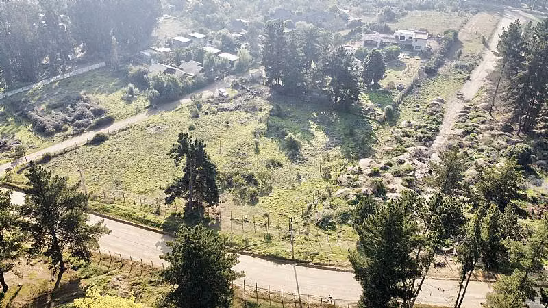 Parcela LOS PINOS DE REÑACA