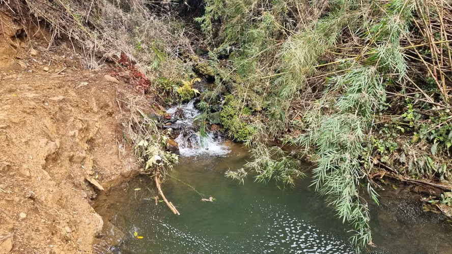 Parcela Sector Los Guindos con Estero - Imagen 12