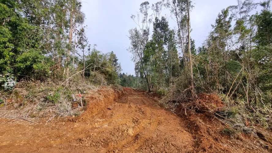 Parcela Sector Los Guindos con Estero - Imagen 14