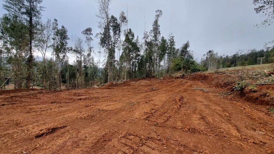 Parcela Sector Los Guindos con Estero - Imagen 18