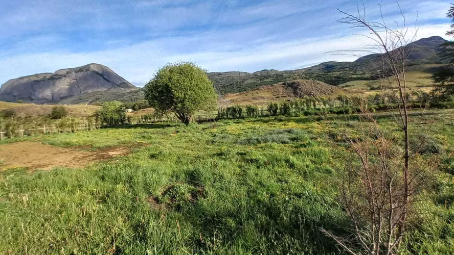 Coyhaique-Camino a Coyhaique Alto.  (77606)