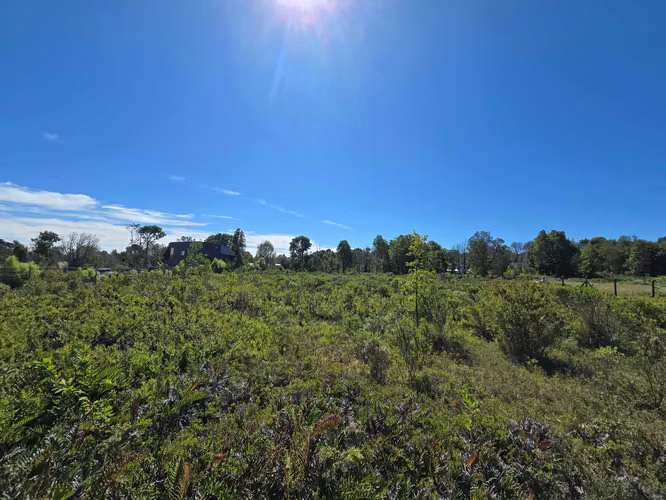 Vende Parcela en Lomas de Coihuin (77695)