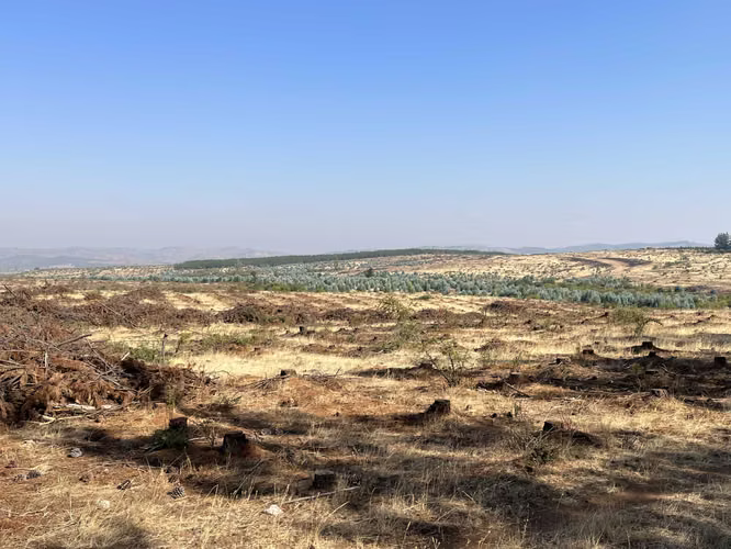 Terreno Huerta de Maule, San Javier