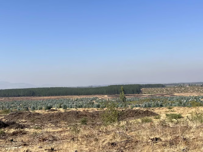 Terreno Huerta de Maule, San Javier