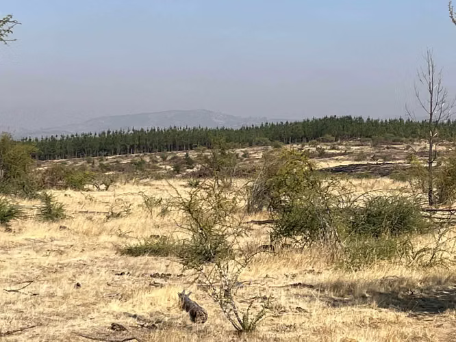 Terreno Huerta de Maule, San Javier