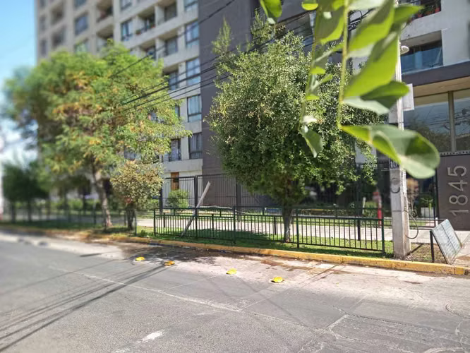 Departamento El Molino, Vivaceta (77468)