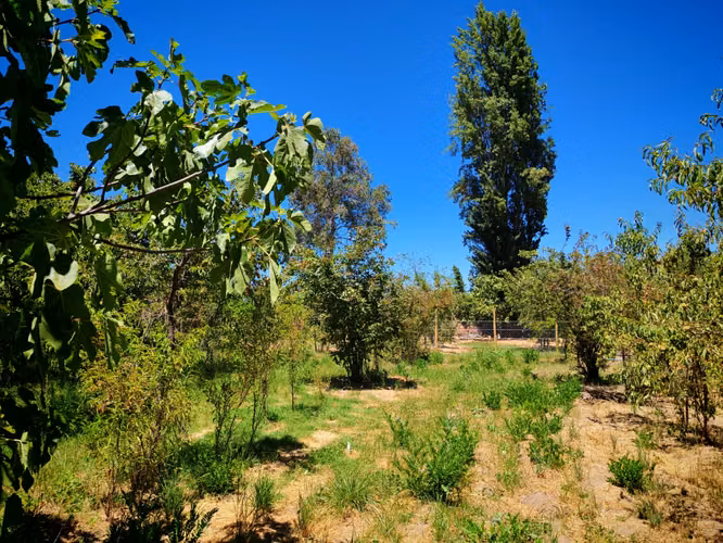 Vendo casa y terreno grande en Villa Alegre