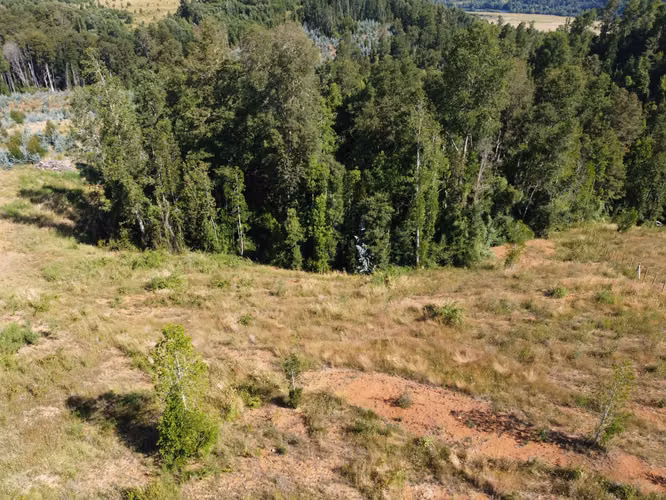 Parcela en Exclusivo Loteo Alto Río - Imagen 3